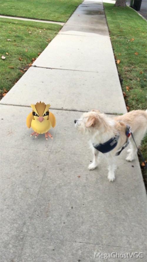 1001 tinh huong xuat hien 