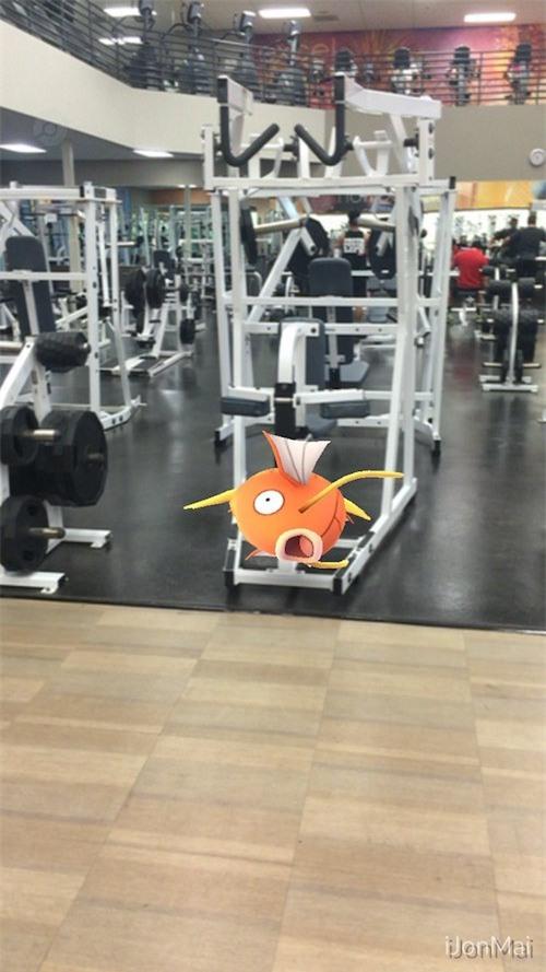 1001 tinh huong xuat hien