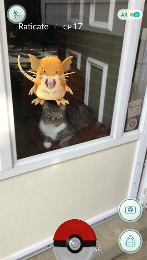 1001 tinh huong xuat hien