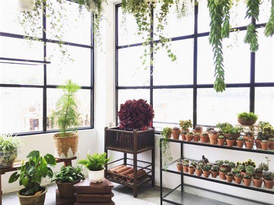 Lên Đà Lạt mà không check in sống ảo tại 5 quán cafe này thì thật thiếu sót! - Ảnh 2.