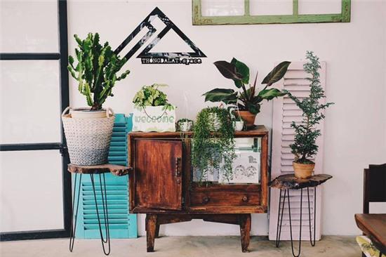 Lên Đà Lạt mà không check in sống ảo tại 5 quán cafe này thì thật thiếu sót! - Ảnh 6.