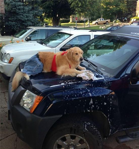 cuoi te ghe voi nhung hinh anh co "102" hinh anh 3