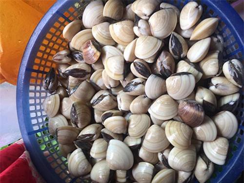 chu lau hai san 50 trieu o ca mau: khong “len y tuong” tu lau 2 trieu ha noi - 10