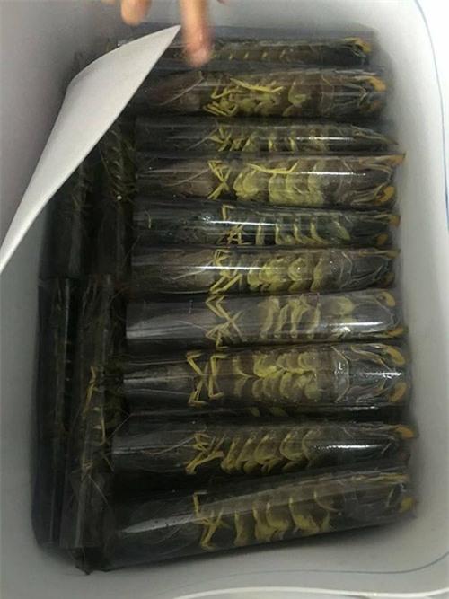 chu lau hai san 50 trieu o ca mau: khong “len y tuong” tu lau 2 trieu ha noi - 6