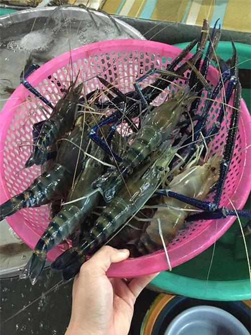 chu lau hai san 50 trieu o ca mau: khong “len y tuong” tu lau 2 trieu ha noi - 7