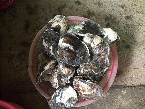 chu lau hai san 50 trieu o ca mau: khong “len y tuong” tu lau 2 trieu ha noi - 9