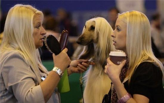 bat cuoi voi ban sao "hoan hao" cua con nguoi hinh anh 4