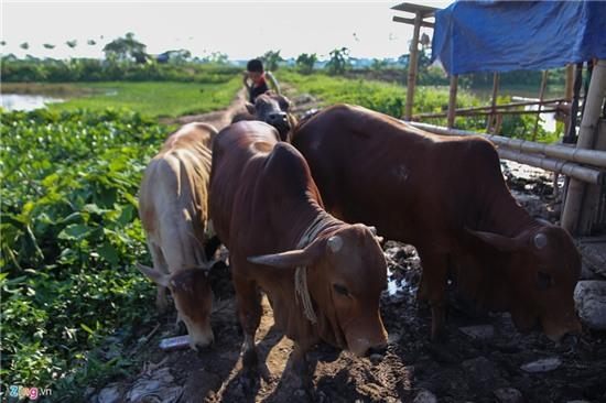 Cuoc doi cuc nhoc cua ba me sinh 14 dua con hinh anh 17