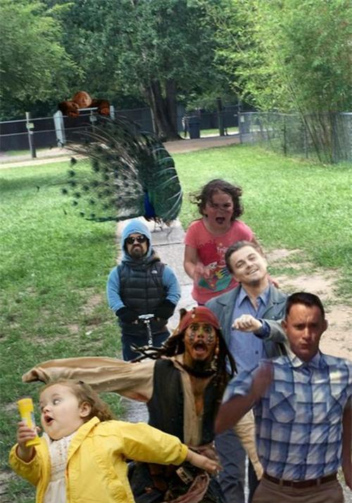 share-anh-len-mang-cha-me-khien-con-thanh-hien-tuong-che-anh-moi-10