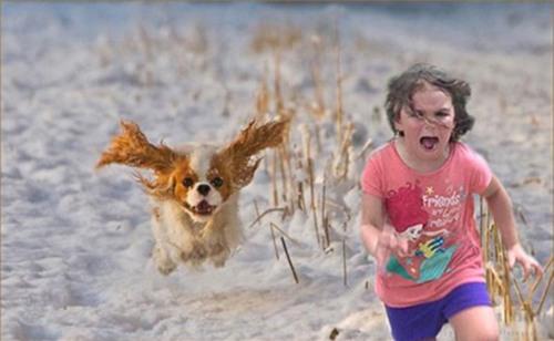 share-anh-len-mang-cha-me-khien-con-thanh-hien-tuong-che-anh-moi-12