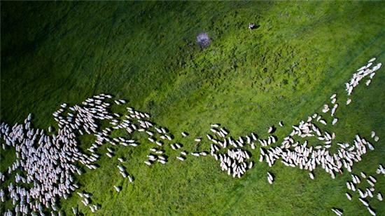 xem nhung buc anh dep kho tin chup bang thiet bi bay hinh anh 6