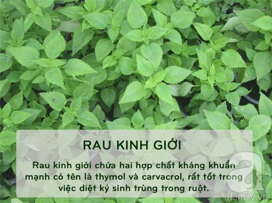 thực phẩm kháng viêm