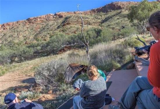 dai-bang-bat-coc-be-trai