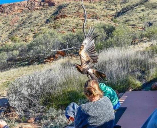 dai-bang-bat-coc-be-trai