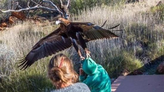 dai-bang-bat-coc-be-trai