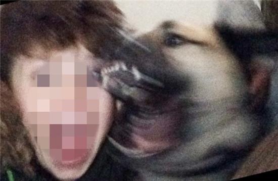 Boy bitten in the face by dog while taking Snapchat selfie