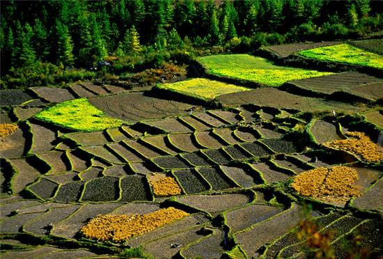 Nếu chưa biết đi đâu thật mới và lạ trong năm nay, hãy đến ngay Bhutan - Ảnh 1.