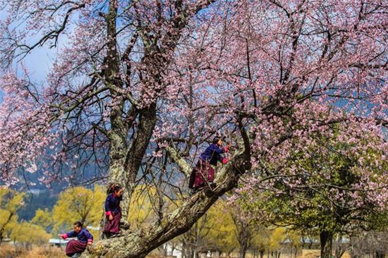 Nếu chưa biết đi đâu thật mới và lạ trong năm nay, hãy đến ngay Bhutan - Ảnh 3.
