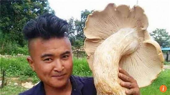 phat hien nam khong lo co duong kinh gan 70cm hinh anh 1