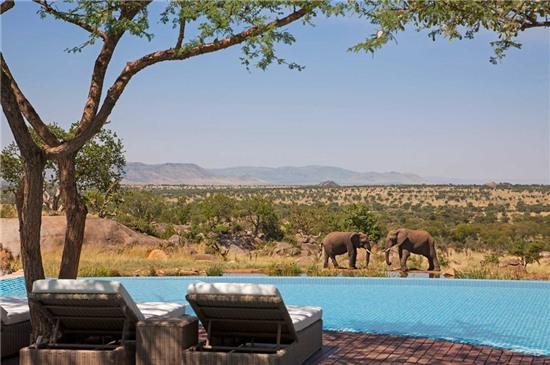 Nhung be boi vo cuc tuyet nhat the gioi hinh anh 1