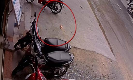 bánh mì từ thiện