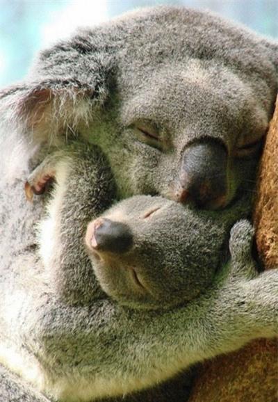 nhung buc anh ve cuoc song khien ca the gioi phai roi le - 3