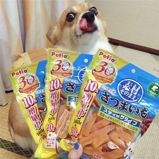 Chú chó tham ăn trở thành nguồn cảm hứng bất tận cho các thánh Photoshop - Ảnh 5.