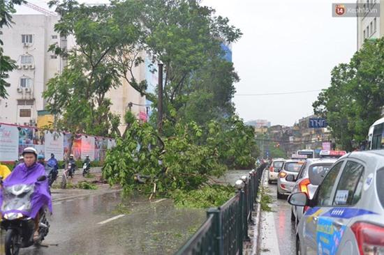 Hà Nội: Bất chấp nguy hiểm, gió to, người dân lao vào cứu 2 phụ nữ bị cây đè do bão - Ảnh 3.
