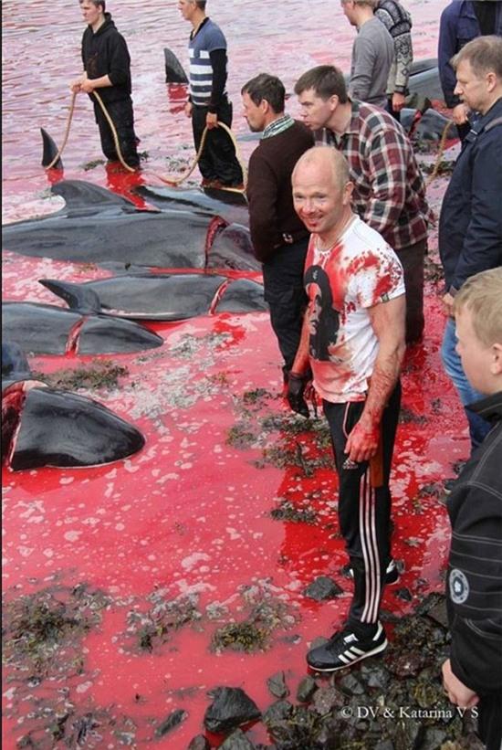 Bờ biển nhuốm màu đỏ máu sau vụ thảm sát cá voi hoa tiêu gây phẫn nộ toàn châu Âu - Ảnh 6.