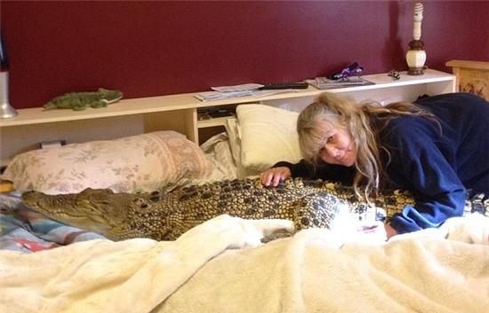 Video: Cá sấu khổng lồ ngày nào cũng mò đến nhà dân ăn chực bữa trưa - Ảnh 3.