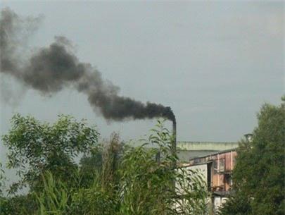 (Ảnh: The Saigon Times)