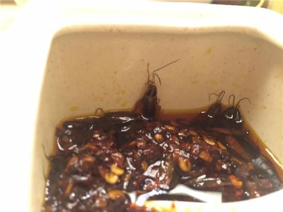 Gián, lúc nhúc, nhà hàng, Nguyễn Chí Thanh, Hà Nội, khiếp vía