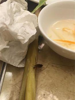 Gián, lúc nhúc, nhà hàng, Nguyễn Chí Thanh, Hà Nội, khiếp vía