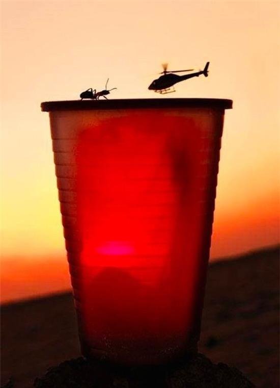 16 khoanh khac trung hop 7