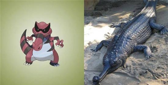 Chiêm ngưỡng chân dung của 15 loài Pokemon ngoài đời thực - Ảnh 10.