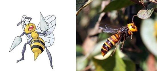 Chiêm ngưỡng chân dung của 15 loài Pokemon ngoài đời thực - Ảnh 4.