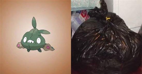 Chiêm ngưỡng chân dung của 15 loài Pokemon ngoài đời thực - Ảnh 9.