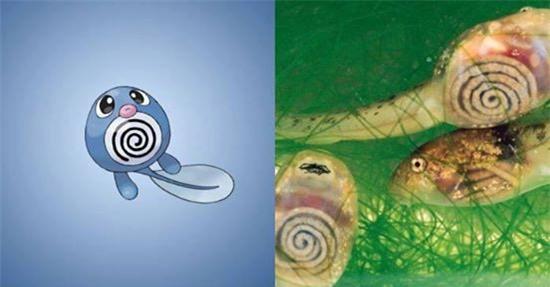 Chiêm ngưỡng chân dung của 15 loài Pokemon ngoài đời thực - Ảnh 14.