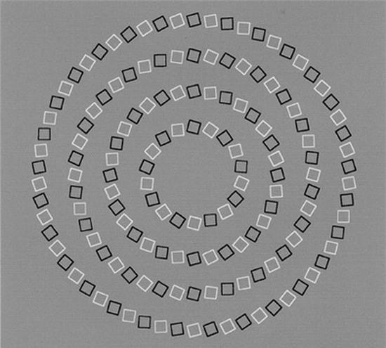 Chỉ cần lăn chuột bạn đã cảm nhận những hình vuông chuyển động theo một đường tròn. Tuy nhiên, chỉ cần dừng lại xem, nó lại không chạy nữa. Thật thần kỳ phải không?