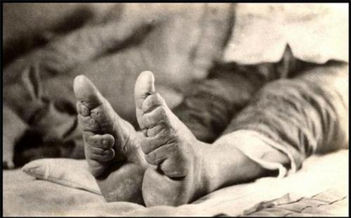 Rùng mình trước đôi giày sen Trung Quốc - 6