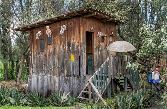 rung ron hon dao treo co hang nghin bup be hinh anh 4