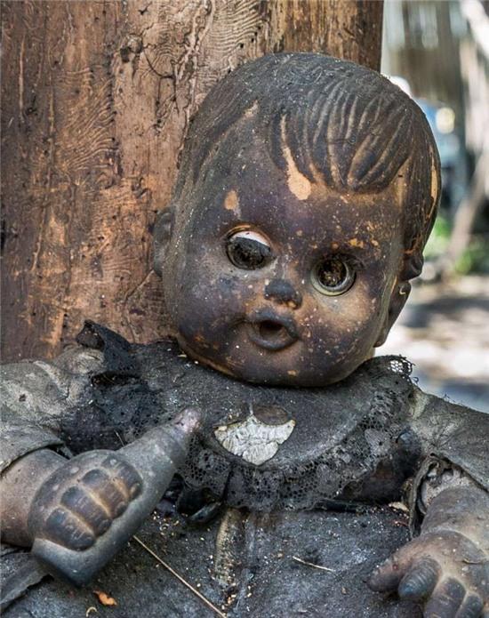 rung ron hon dao treo co hang nghin bup be hinh anh 5