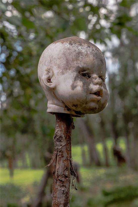 rung ron hon dao treo co hang nghin bup be hinh anh 7