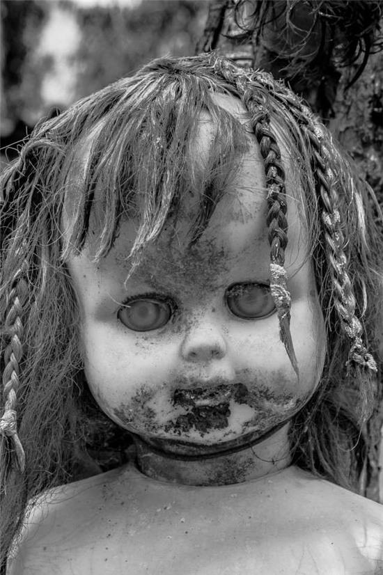 rung ron hon dao treo co hang nghin bup be hinh anh 8