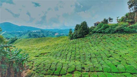 Những bộ ảnh du lịch của giới trẻ Việt khiến bạn vừa ghen tị vừa ao ước giá mình cũng được ở đó - giống - Ảnh 29.