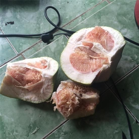 cô gái tố người yêu anh trai bổ bưởi vụng