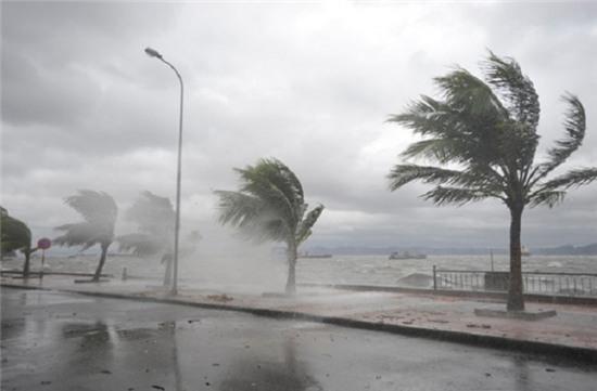Các tỉnh ven biển chủ động phòng chống cơn bão số 3 với sức gió giật mạnh cấp 14.
