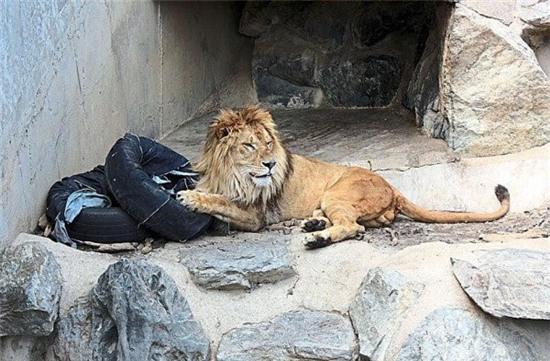 Nhat Ban dung su tu de lam quan jeans rach hinh anh 5