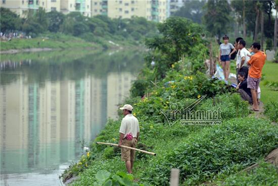 bão số 3, câu cá, sông Tô Lịch