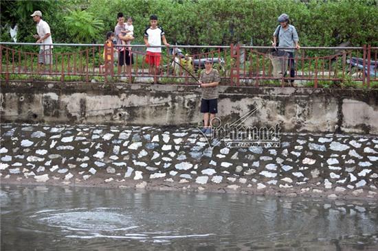 bão số 3, câu cá, sông Tô Lịch